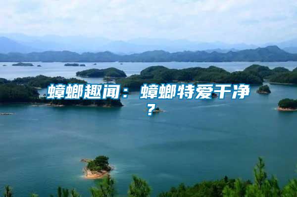 蟑螂趣聞：蟑螂特愛干凈？