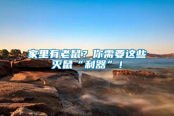 家里有老鼠？你需要這些滅鼠“利器”！