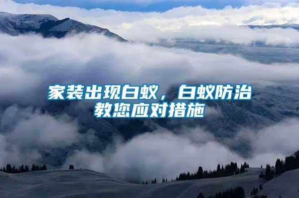家裝出現(xiàn)白蟻，白蟻防治教您應對措施