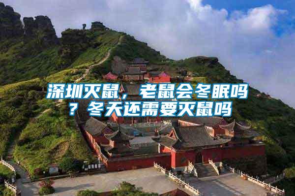 深圳滅鼠，老鼠會(huì)冬眠嗎？冬天還需要滅鼠嗎