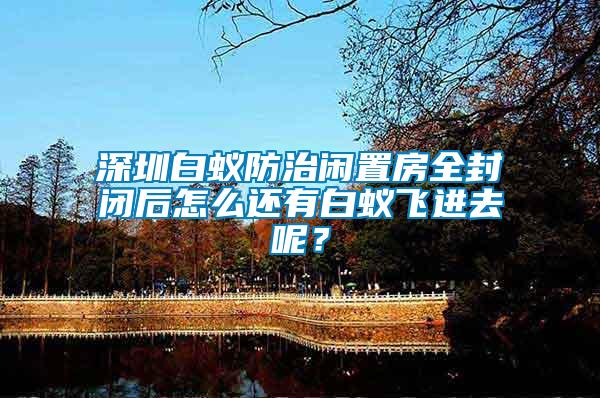 深圳白蟻防治閑置房全封閉后怎么還有白蟻飛進(jìn)去呢？