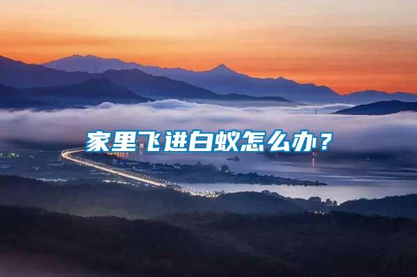 家里飛進(jìn)白蟻怎么辦？