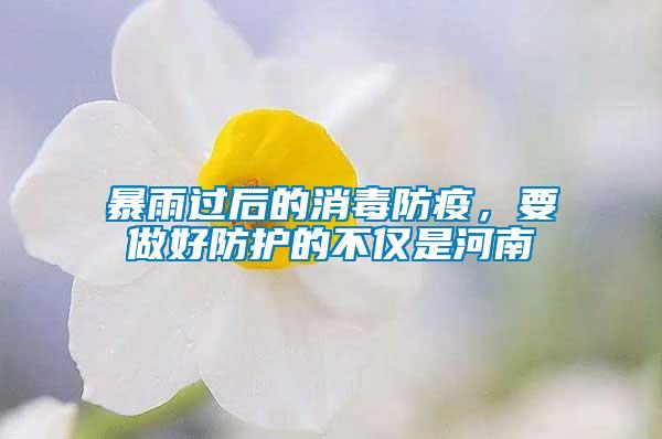 暴雨過后的消毒防疫，要做好防護的不僅是河南