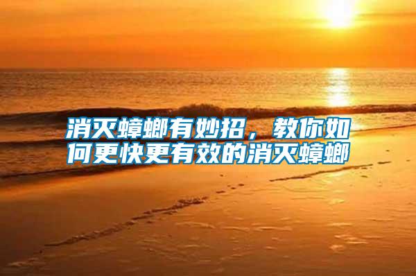 消滅蟑螂有妙招，教你如何更快更有效的消滅蟑螂