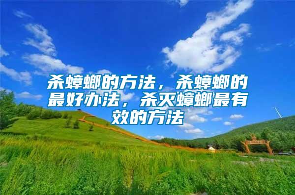 殺蟑螂的方法，殺蟑螂的最好辦法，殺滅蟑螂最有效的方法