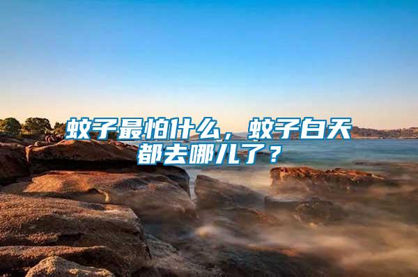 蚊子最怕什么，蚊子白天都去哪兒了？