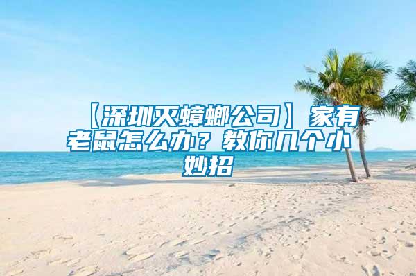【深圳滅蟑螂公司】家有老鼠怎么辦？教你幾個小妙招