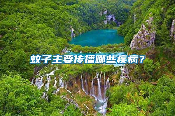蚊子主要傳播哪些疾??？