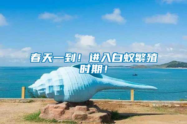 春天一到！進(jìn)入白蟻繁殖時(shí)期！