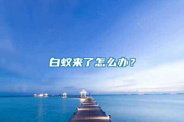 白蟻來(lái)了怎么辦？
