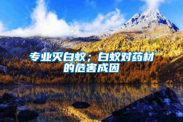專(zhuān)業(yè)滅白蟻；白蟻對(duì)藥材的危害成因