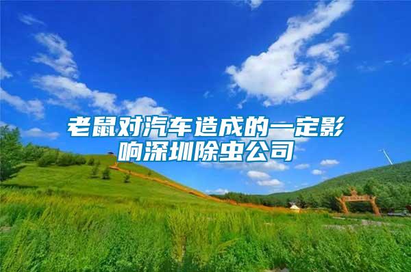 老鼠對(duì)汽車造成的一定影響深圳除蟲公司