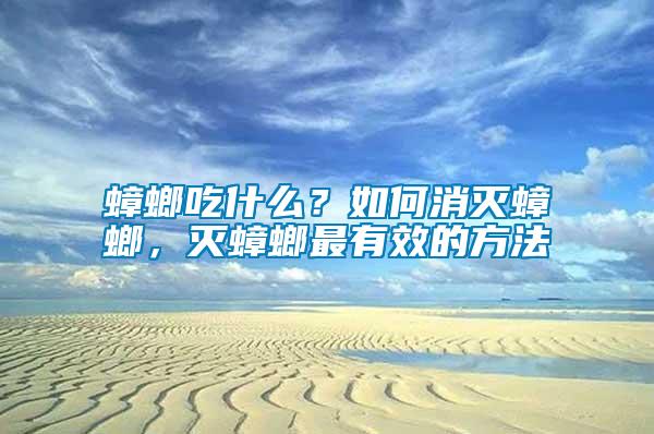 蟑螂吃什么？如何消滅蟑螂，滅蟑螂最有效的方法