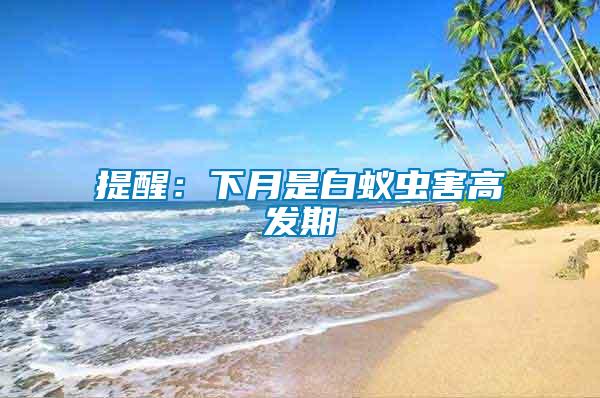 提醒：下月是白蟻蟲(chóng)害高發(fā)期