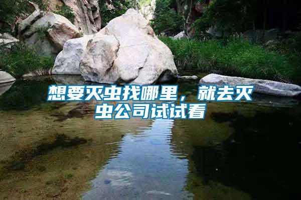 想要滅蟲找哪里，就去滅蟲公司試試看