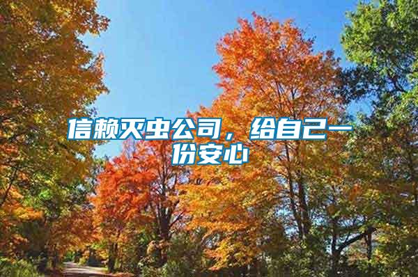 信賴滅蟲公司，給自己一份安心