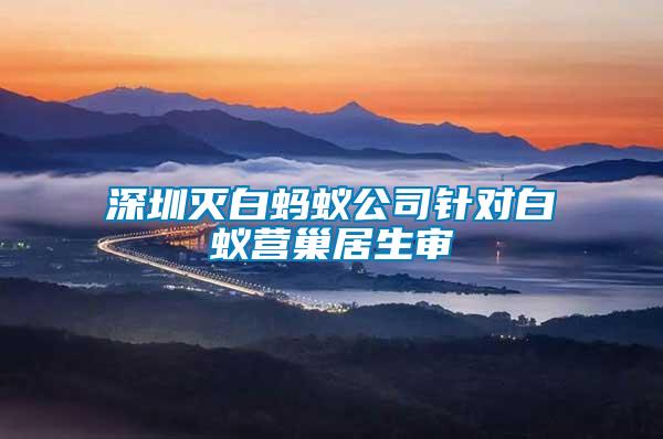 深圳滅白螞蟻公司針對(duì)白蟻營巢居生審