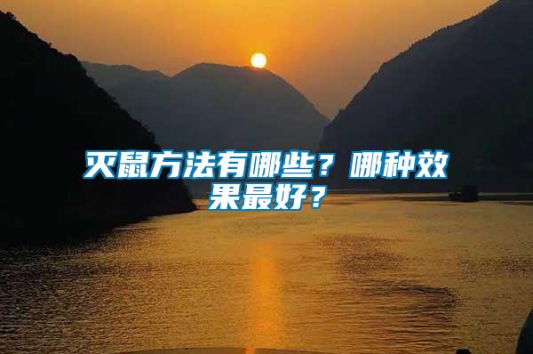 滅鼠方法有哪些？哪種效果最好？