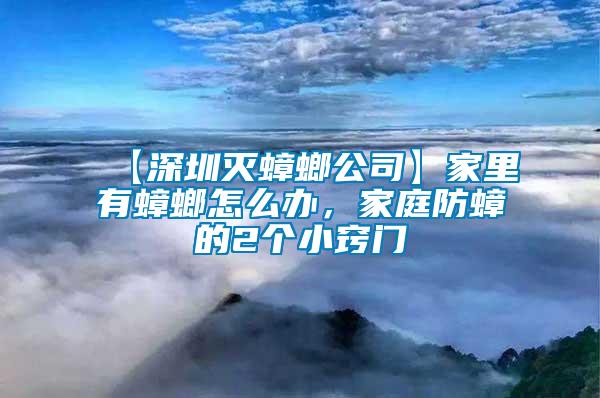 【深圳滅蟑螂公司】家里有蟑螂怎么辦，家庭防蟑的2個(gè)小竅門(mén)