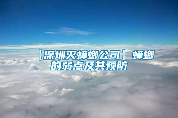 【深圳滅蟑螂公司】蟑螂的弱點及其預防