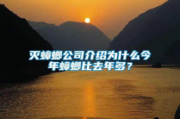 滅蟑螂公司介紹為什么今年蟑螂比去年多？