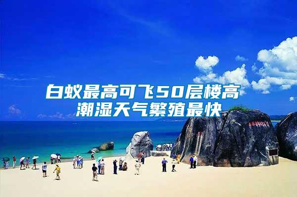 白蟻?zhàn)罡呖娠w50層樓高 潮濕天氣繁殖最快