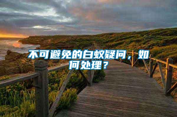 不可避免的白蟻疑問(wèn)，如何處理？