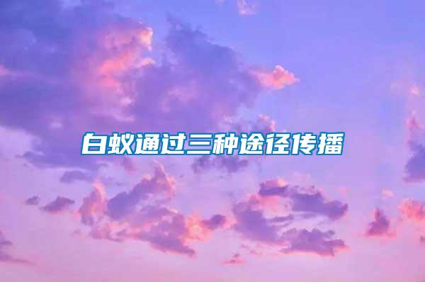 白蟻通過(guò)三種途徑傳播
