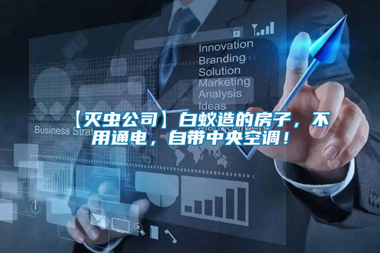 【滅蟲公司】白蟻造的房子，不用通電，自帶中央空調(diào)！