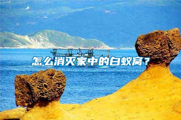 怎么消滅家中的白蟻窩？