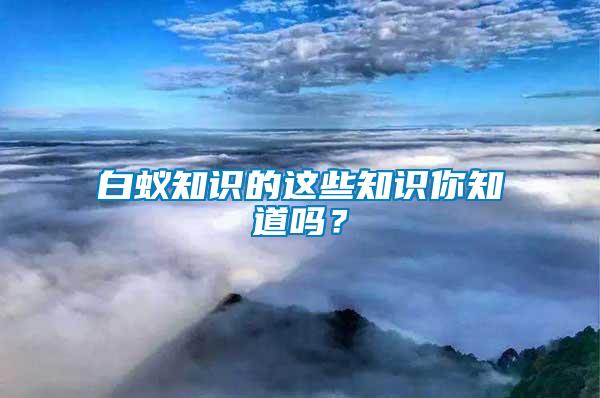 白蟻知識(shí)的這些知識(shí)你知道嗎？