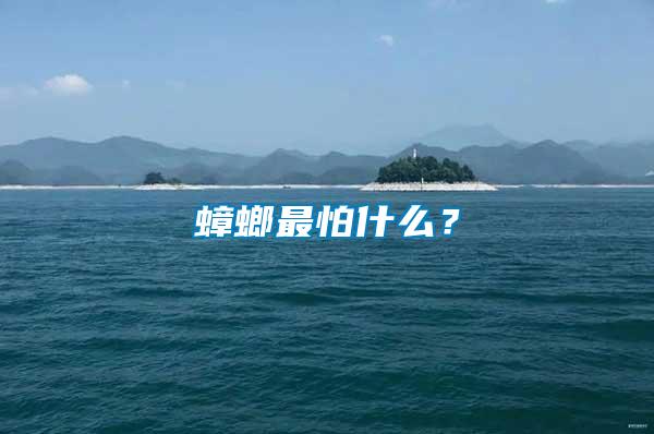 蟑螂最怕什么？