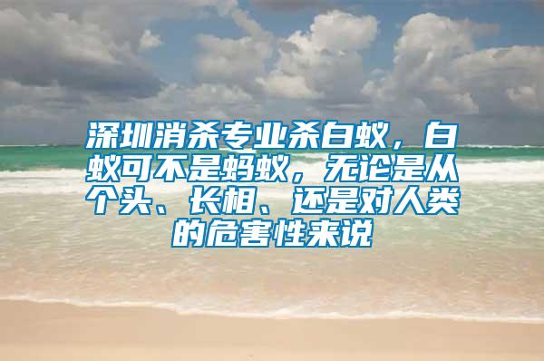深圳消殺專業(yè)殺白蟻，白蟻可不是螞蟻，無論是從個頭、長相、還是對人類的危害性來說