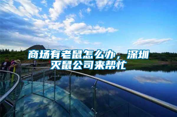 商場有老鼠怎么辦，深圳滅鼠公司來幫忙