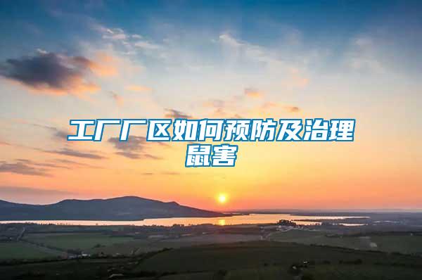 工廠(chǎng)廠(chǎng)區(qū)如何預(yù)防及治理鼠害