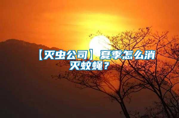 【滅蟲公司】夏季怎么消滅蚊蠅？
