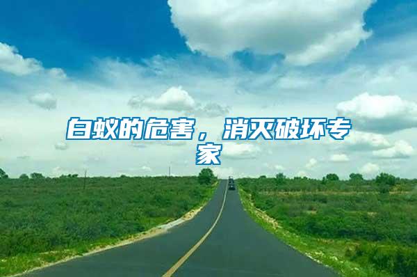 白蟻的危害，消滅破壞專家