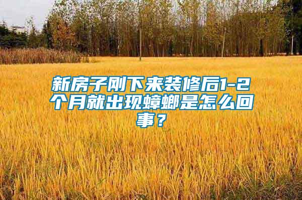 新房子剛下來裝修后1-2個月就出現(xiàn)蟑螂是怎么回事？