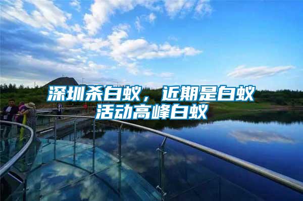深圳殺白蟻，近期是白蟻活動(dòng)高峰白蟻