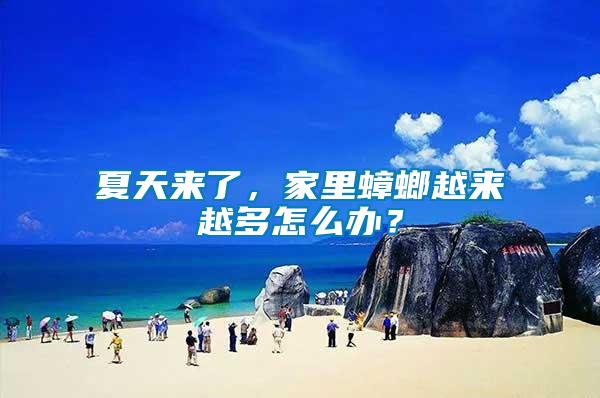夏天來了，家里蟑螂越來越多怎么辦？