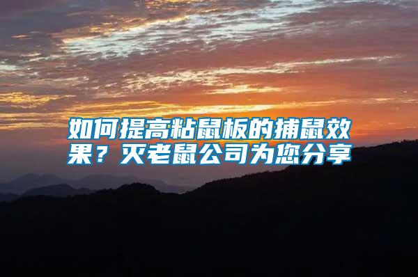 如何提高粘鼠板的捕鼠效果？滅老鼠公司為您分享