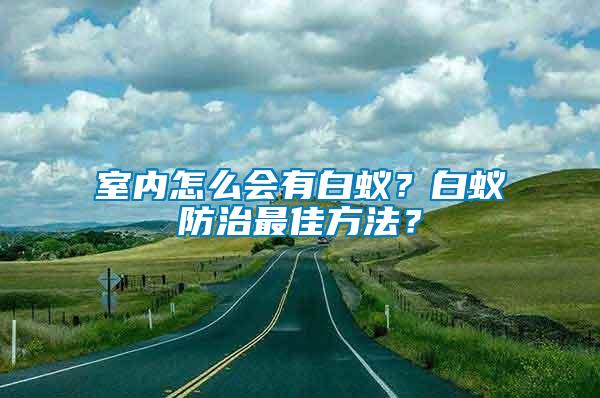 室內怎么會有白蟻？白蟻防治最佳方法？