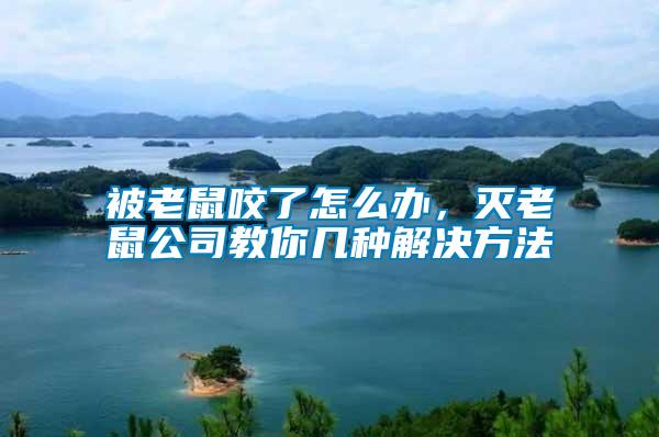 被老鼠咬了怎么辦，滅老鼠公司教你幾種解決方法