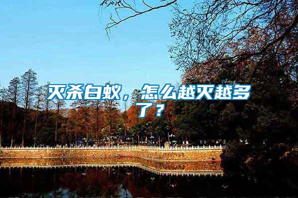 滅殺白蟻，怎么越滅越多了？