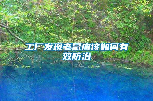 工廠發(fā)現(xiàn)老鼠應該如何有效防治
