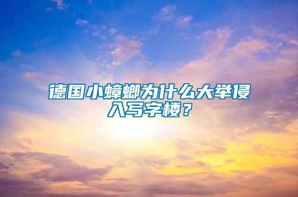 德國小蟑螂為什么大舉侵入寫字樓？
