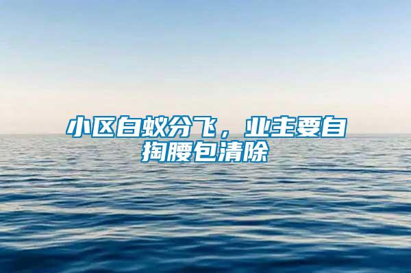 小區(qū)白蟻分飛，業(yè)主要自掏腰包清除
