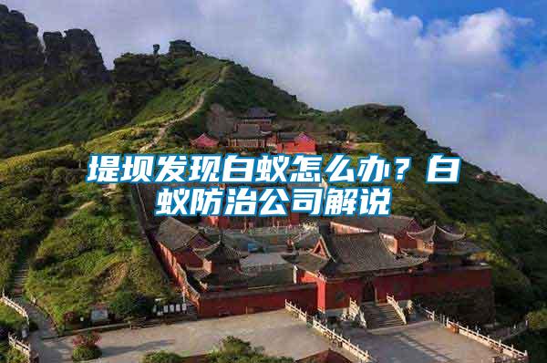 堤壩發(fā)現(xiàn)白蟻怎么辦？白蟻防治公司解說