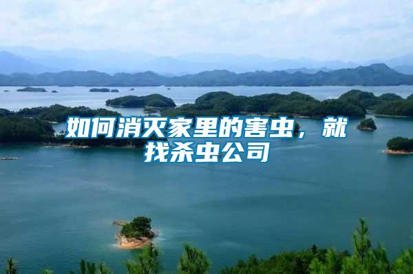 如何消滅家里的害蟲，就找殺蟲公司