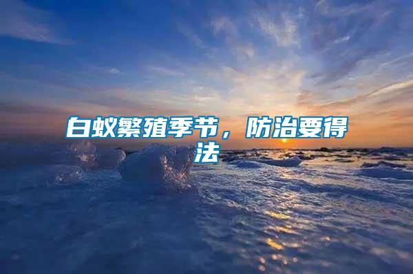 白蟻繁殖季節(jié)，防治要得法